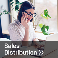 SalesDistribution